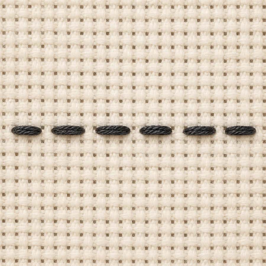 Macro view of a charcoal backstitch line on cream Aida cloth